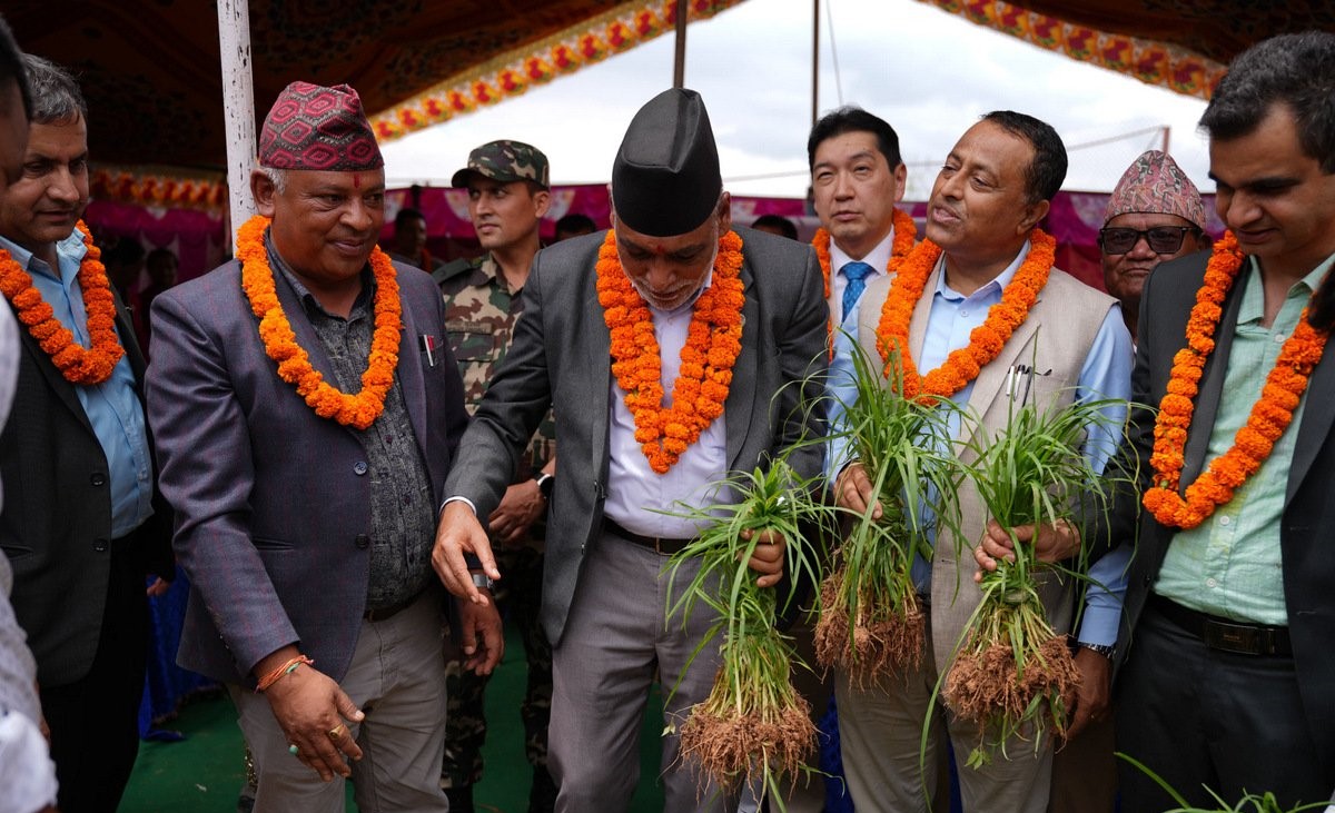 नेपालमा पहिलोपटक राष्ट्रिय कोदो दिवस मनाइयो, उत्पादन वृद्धि र आत्मनिर्भरताको लक्ष्य